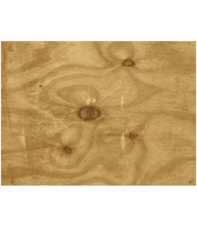 Tork placemat 31x42cm Wood Look 5x500