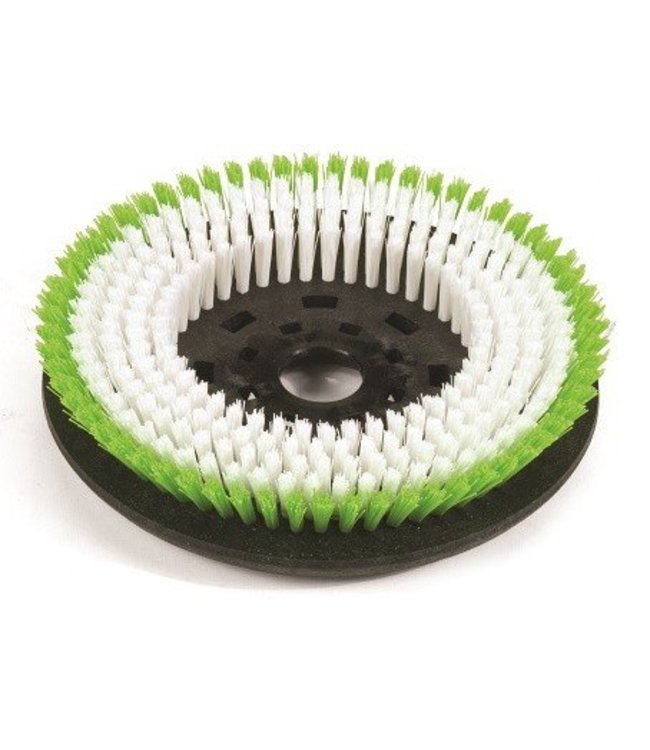 Numatic Polyscrub Schrobborstel 300 mm Octo