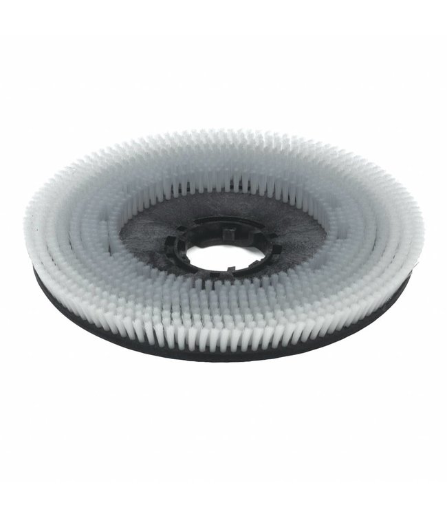 Numatic Nyloscrub Schrobborstel 550 mm