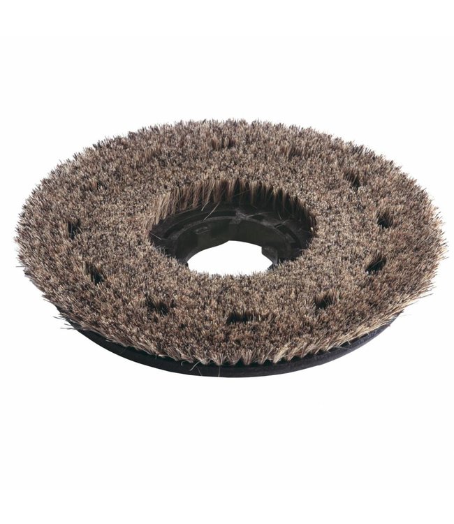 Numatic Union Schrobborstel 450 mm