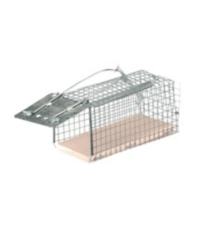 Inloopval Levend "Alive" (ratten) - bodem kunststof