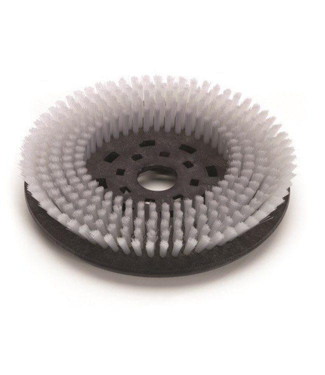 Numatic Nyloscrub Schrobborstel 280mm Octo