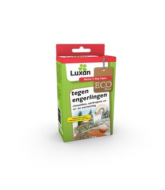 Luxan Luxan Nema - T - Bag Capsa