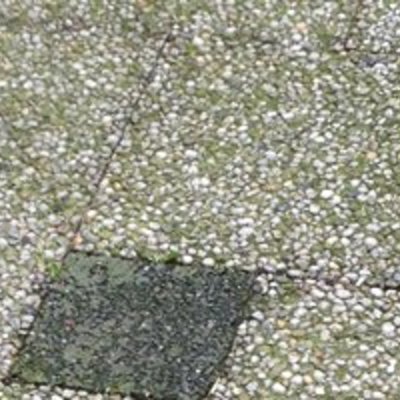 Groenreiniger en onkruidverdelgers