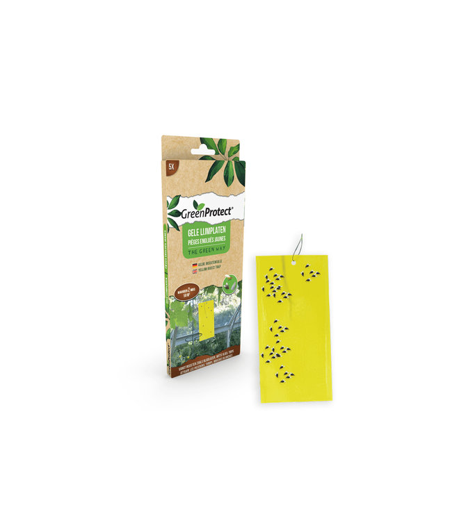 Green Protect gele lijmplaten