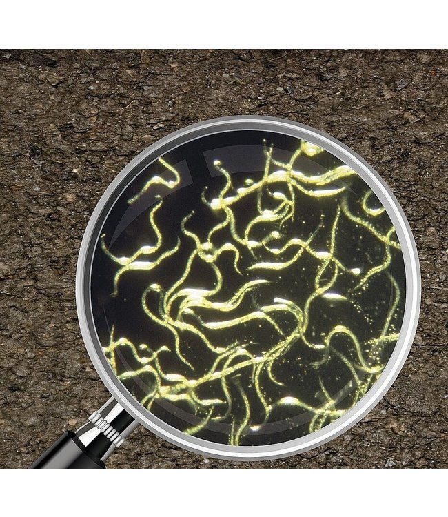 Eco Logic Nema-T-Pot