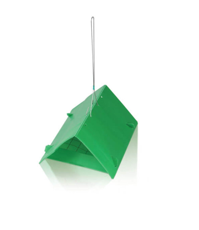 Eco Logic Fero Box Pruimenmot