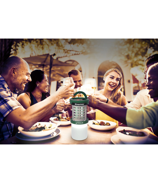 Edialux MosQuiway outdoor UV LED Flykiller en lamp