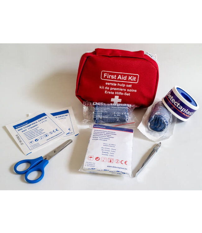 Detectaplast First Aid Kit
