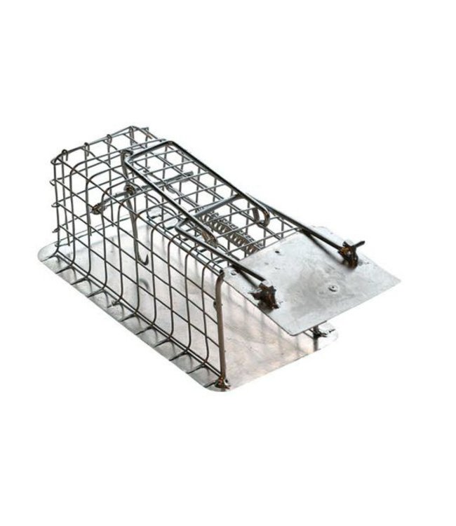 Large Muizenvangkooi met 1 ingang