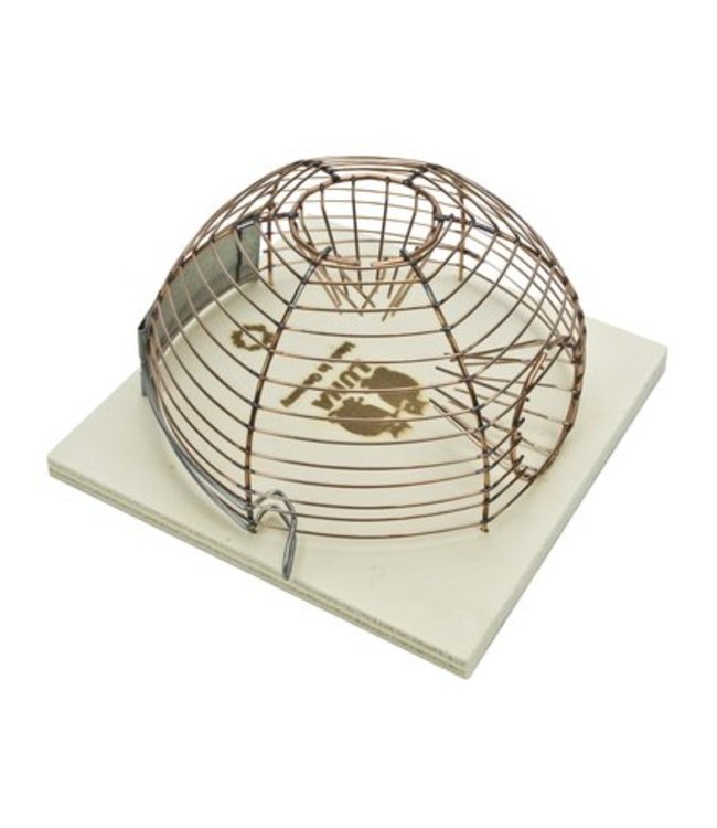 Luna Muizenkorfkooi - 13 centimeter