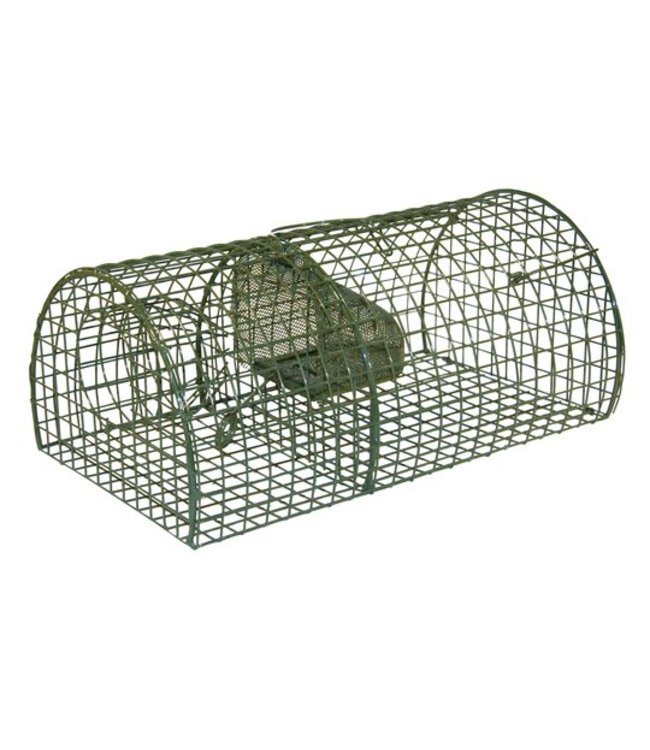 Inloopval Levend Massa "Alive"  (ratten)