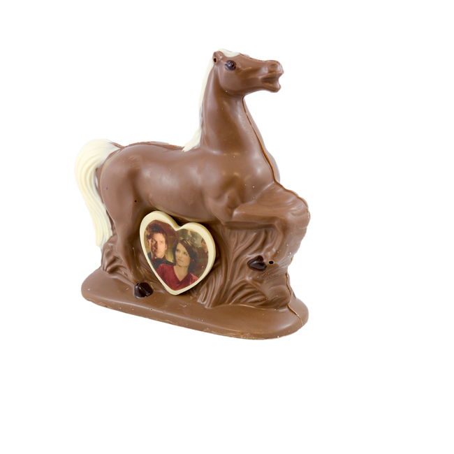 Chocolade Paard 20 x 20 cm met foto of logo