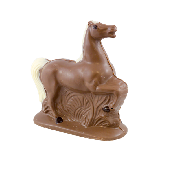 Chocolade Paard 20 x 20 cm