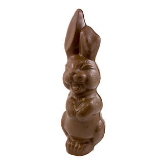 Chocolade haas 25 cm