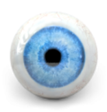 Eyeball