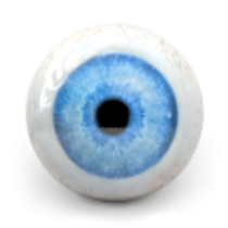 Eyeball