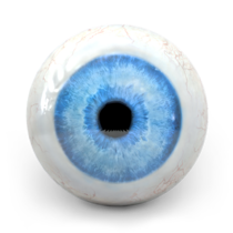 Eyeball