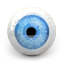 Eyeball