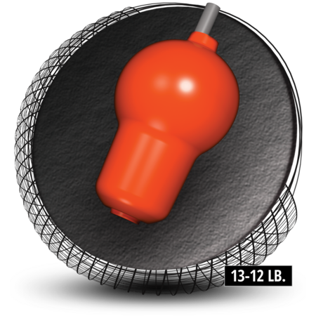 Hammer Hammerhead Pearl