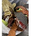 Ceintures en Cuir Tressées Vintage en Gros | ReRags