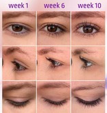 Refectocil REFECTOCIL LASH & BROW BOOSTER