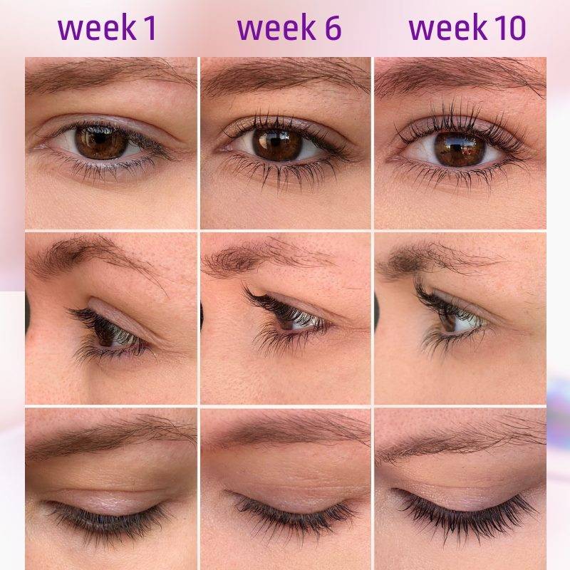 Refectocil lash and brow booster