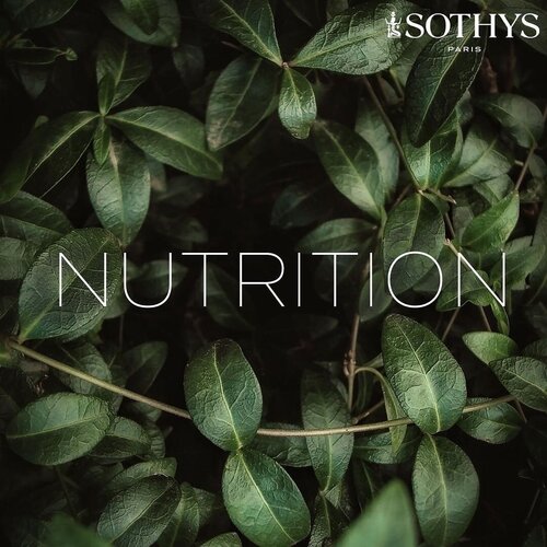 Sothys Paris Sothys-Paris-Nutritive replenishing rich cream-VEGAN 50ml Sothys Paris Sothys-Paris-Nutritive replenishing rich cream-VEGAN 50ml