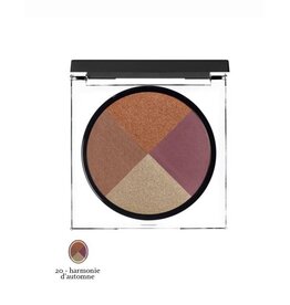 Sothys Paris Sothys Ombre Sothys eye quartet pallette  20 Harmonie d'Automne