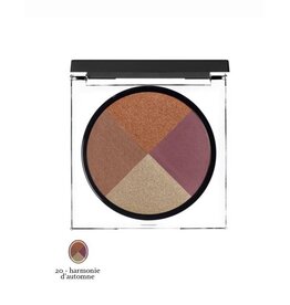 Sothys Sothys Eye quartet palette 4 Kleuren Oogschaduw 20 Harmonie d'Automne