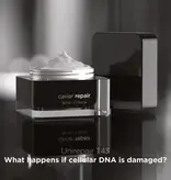 Ekseption Skincare Ekseption Caviar Repair Cream | Repairing Anti-Aging Cream