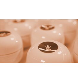 Sothys Paris Sothys La crème 128 Secrets de Sothys