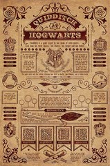 Producten getagd met harry potter quidditch at hogwarts maxi poster