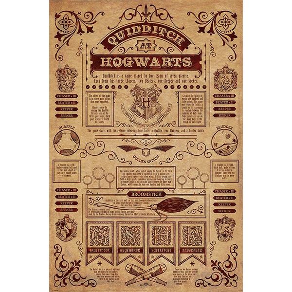 Harry Potter Quidditch At Hogwarts - Maxi Poster