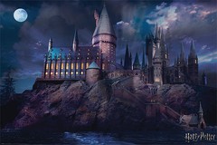 Products tagged with Hogwarts