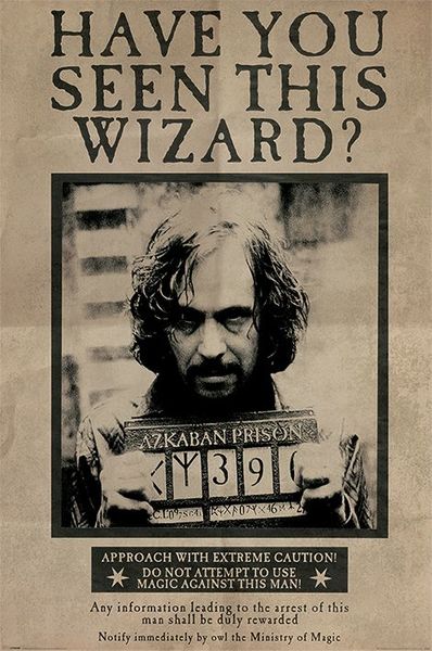 Harry Potter Wanted Sirius Black - Maxi Poster Hole in the Wall Hole in ...