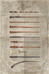 Products tagged with harry potter wands poster