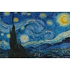 Van Gogh Starry Night - Maxi Poster