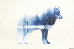 Products tagged with wolf