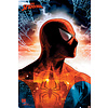 Spider-Man Protector Of The City - Maxi Poster