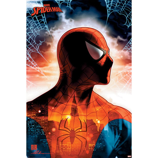 Spider-Man Protector Of The City - Maxi Poster Hole in the Wall