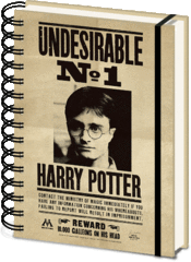 Products tagged with harry potter cahier de note