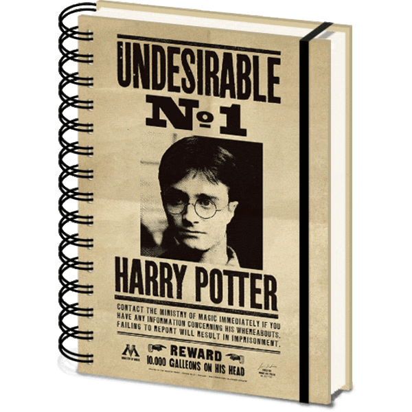 Harry Potter Sirius & Harry - A5 3D Lenticular Notebook
