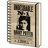 Harry Potter Sirius & Harry - A5 3D Lenticular Notitieboek