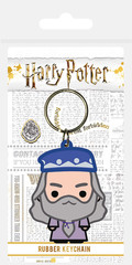 Products tagged with keyring harry potter