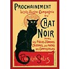 Chat Noir - Maxi Poster