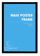 Poster Frames & Strips