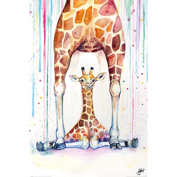 Marc Allante Gorgeous Giraffes - Maxi Poster