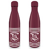 Harry Potter Crest & Stripes - Metal Drinkfles