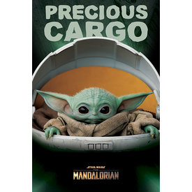 Star Wars The Mandalorian Precious Cargo - Maxi Poster
